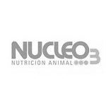 logo_nucleo3